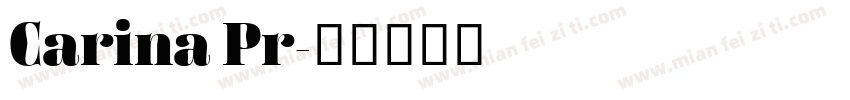 Carina Pr字体转换